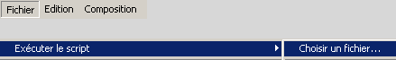 exécuter un script